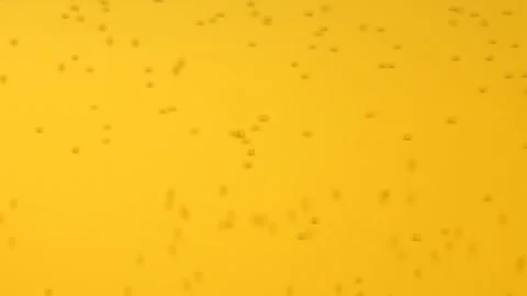 Beer close up Video stock 90689574