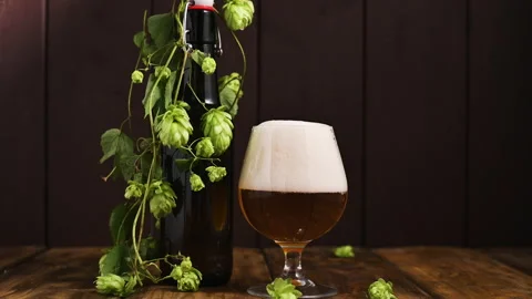 Beer. Cold Craft light Beer in a glass with water drops. Pint of Beer close up Stock Footage 138506021