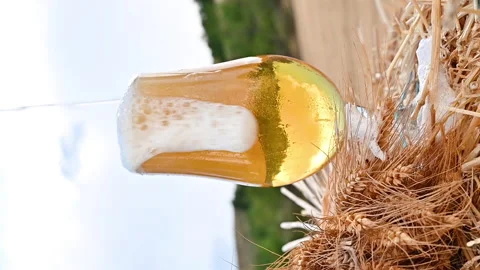 Beer. Cold Craft light Beer in a glass with water drops. Video stock 161722033