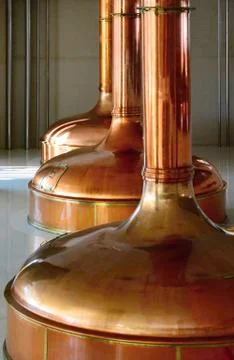 Beer copper fermentation vats 库存照片