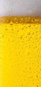 Beer with dew Foto stock