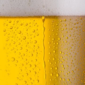 Beer with drops of condensation Stock Photos