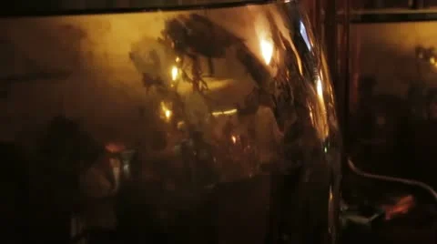 Beer fermented in Silos in Restaurant Stock-Footage 12140613