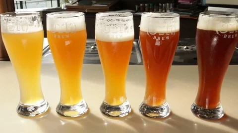 Beer-Flight-India Stock Footage 85305168