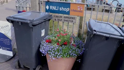 Beer, flowers between the bins 스톡 동영상 138069520