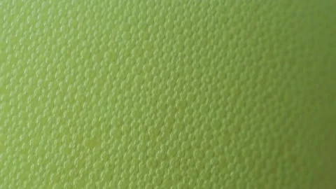 Beer foam and beer bubbles Stock Footage 145482546
