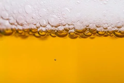 Beer foam Stock Photos