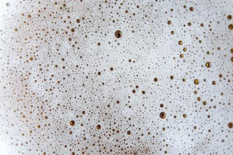 Beer foam Stock Photos
