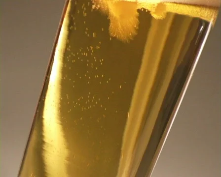 Beer . Stock Footage 333946