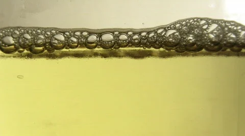 Beer  Stock Footage 595942