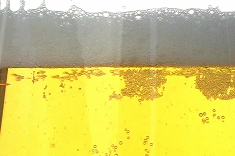Beer Stock-Footage 1340370