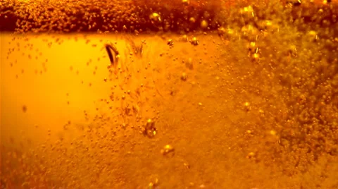 Beer Stock Footage 1721232