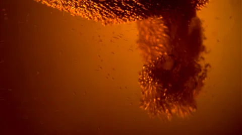 Beer Stock Footage 1721352