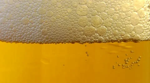 Beer Stockbeeldmateriaal 10802858