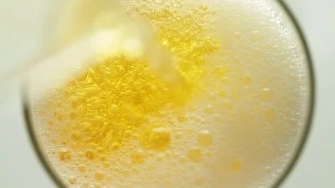 Beer Stock Footage 77020443