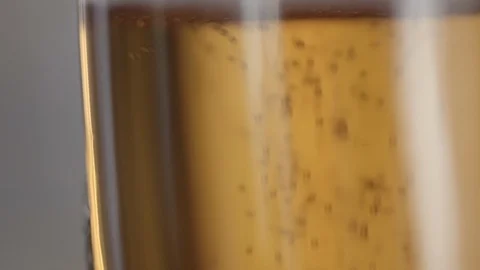 Beer Stock Footage 109420545