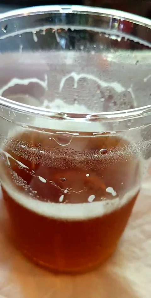 Beer Stock Footage 161086529