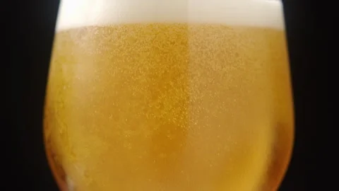 Beer Stock Footage 257033590