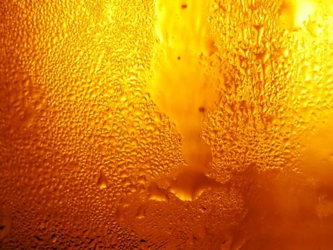 Beer fresh cold Stock Photos