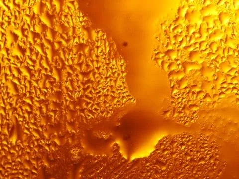 Beer fresh cold Stock Photos