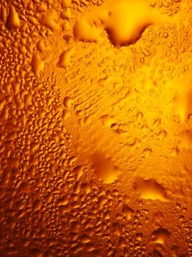Beer fresh cold Stock Photos