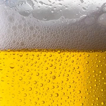 Beer glass with dew drops Stock-Fotos