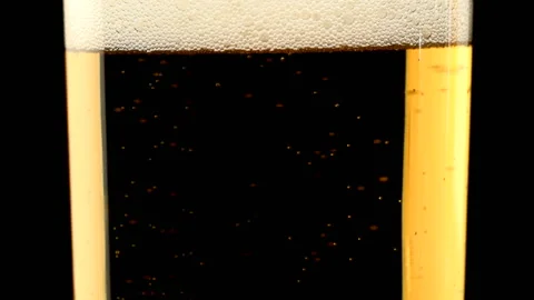 Beer in a glass Stock Footage 210230416