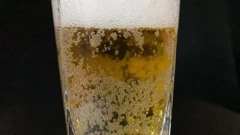 Beer in glass Stock Footage 228548228