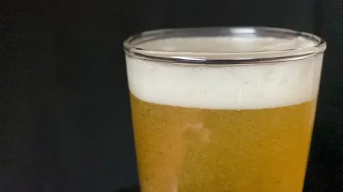 Beer in glass Stock Footage 228548333