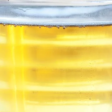 Beer in a glass on the reflective surface Stock Photos