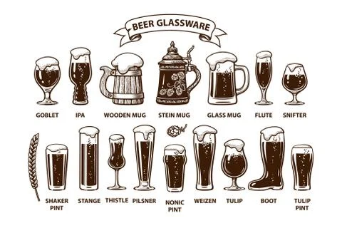 Beer glassware guide. Various types of beer glasses and mugs.. Design elements Stock Illustration