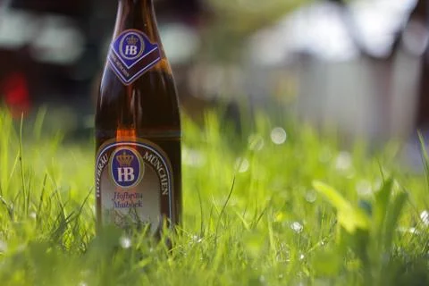Beer in Grass Stock Photos