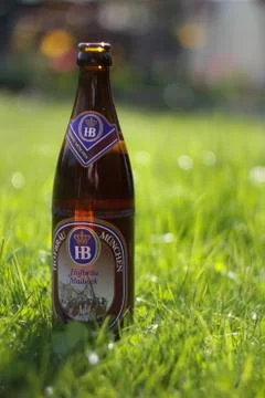 Beer in Grass Stock Photos