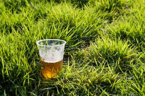 Beer on the grass Stock Photos