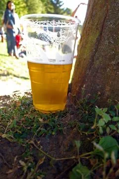 Beer in half empty plastic glass Stock Photos