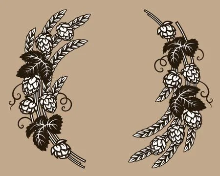Beer hops branches with wheat barley ears, leaves and hop cones. Elements for Stock Illustration