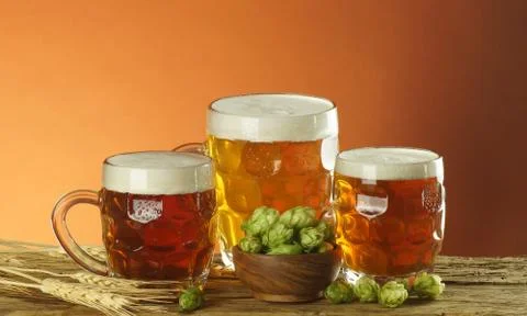 Beer with hops Stock Photos