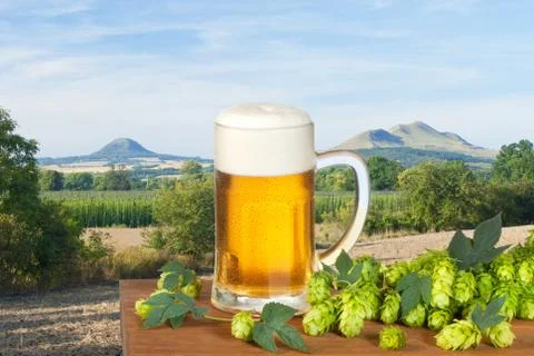 Beer Stock Illustration