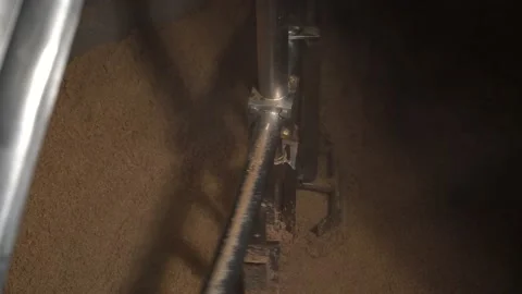 Beer making in craft brewery, close up. Close up top view kettle with beer Video stock 155794008
