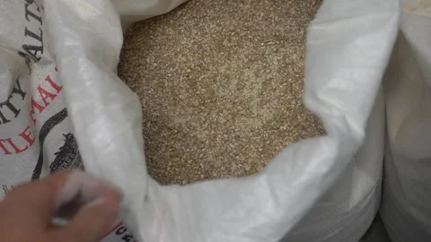 Beer malt in a bag Stock Footage 138120530