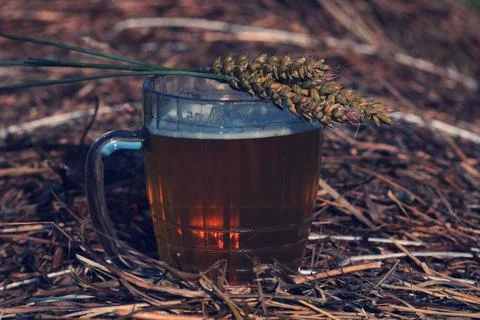 Beer in a mug on a haystack Stock Photos