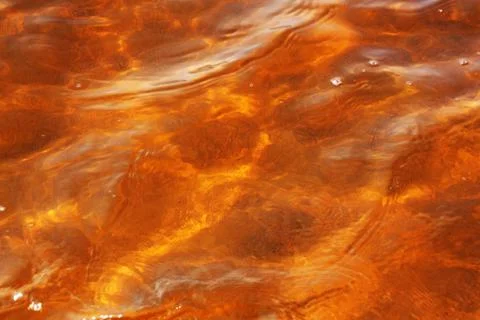 Beer or tea surface Stock Photos