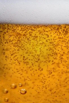 Beer Фото