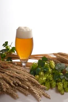 Beer Stock Photos