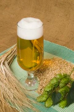 Beer Stock Photos