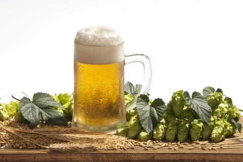 Beer Stock Photos