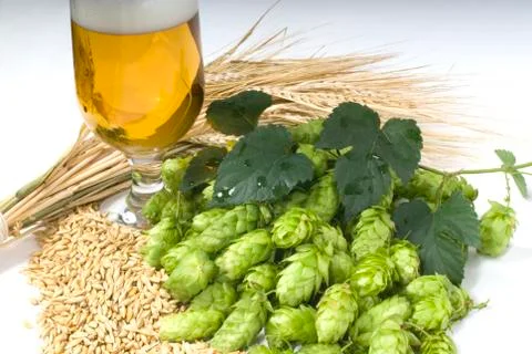 Beer Stock Photos