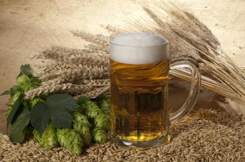 Beer Stock Photos