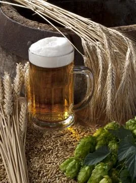Beer Stock Photos