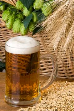 Beer Stock Photos